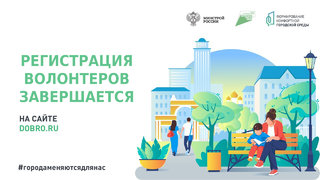 В Хакасии завершается набор волонтёров для проведения всероссийского голосования
